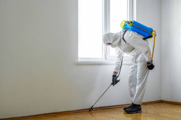 Wildlife Control Services in Royal Oak, MI