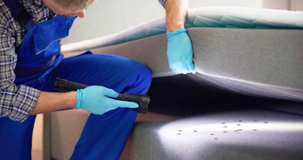 Best Local Pest Control Services  in Royal Oak, MI