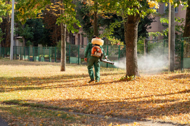 Best Rat Extermination Near Me  in Royal Oak, MI